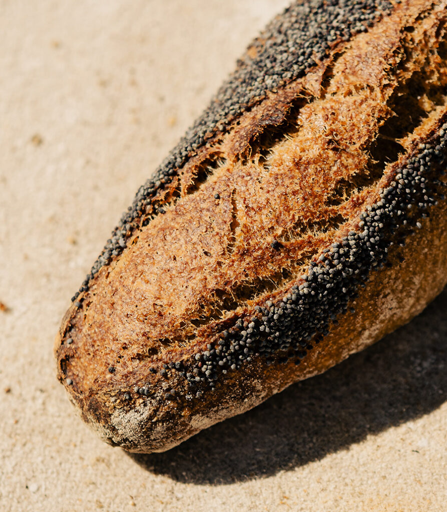 FRUSTA AL NERO DI SICILIA